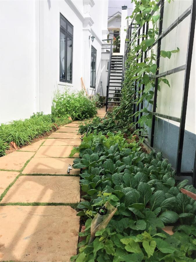 Duong Xua Villa Da Lat Eksteriør billede